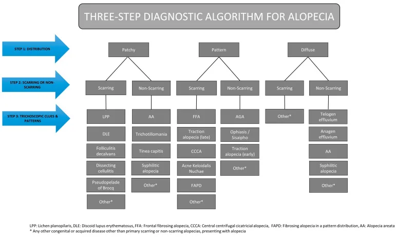 A three-step chart for diagnosing hair loss, starting with the distribution pattern, then scarring, then dermatoscopic clues, which is what a dermatologist does rather than a hair specialist