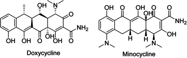 The chemical structures of doxycycline and minocycline, members of the tetracycline family to which Tetralysal belongs, the oral antibiotic used for acne