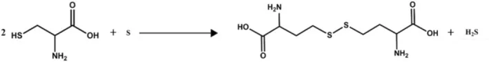 Chemical equation of sulfur reacting with cysteine in skin cells to produce hydrogen sulfide, the proposed mechanism of sulfur in Mario Badescu's acne lotion