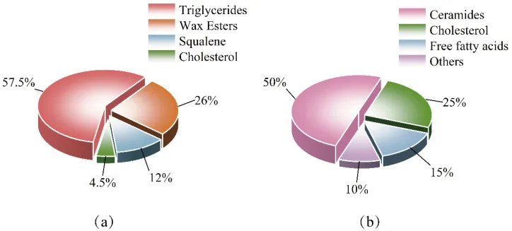 Two pie charts comparing the composition of skin-surface sebum produced by the glands with the lipids of the skin barrier, illustrating the link between oily skin and acne