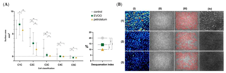 Chart of dead-cell types and the desquamation index with magnified images of the skin surface, showing that Vaseline reduces the flaking that makes dry skin look darker